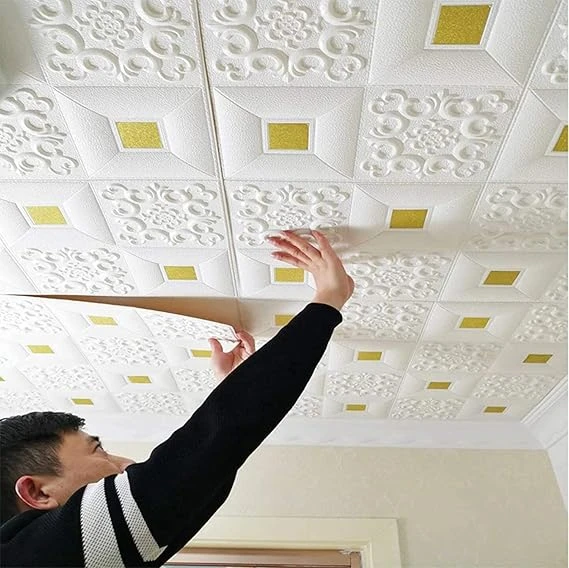 Ceiling Panel